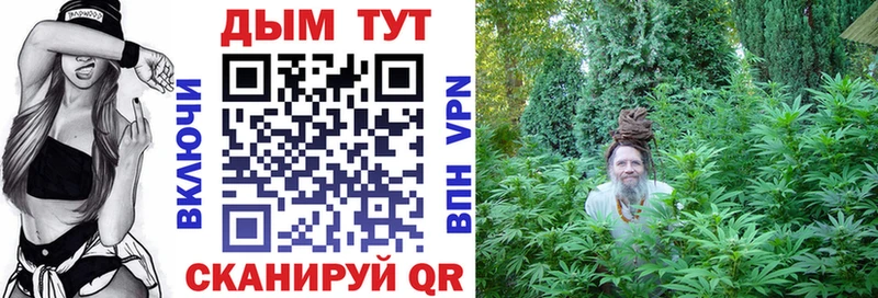 Бошки марихуана SATIVA & INDICA Тольятти